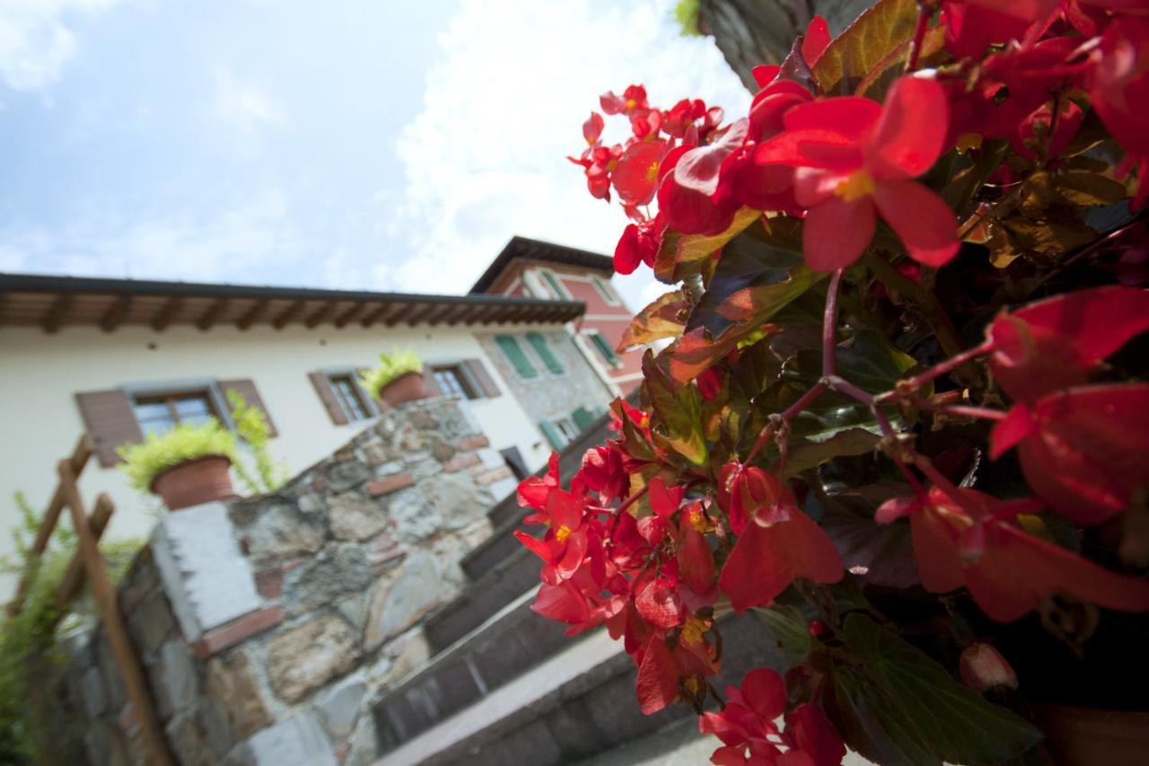 Alloggio Agrituristico Corte San Biagio Corno di Rosazzo Buitenkant foto