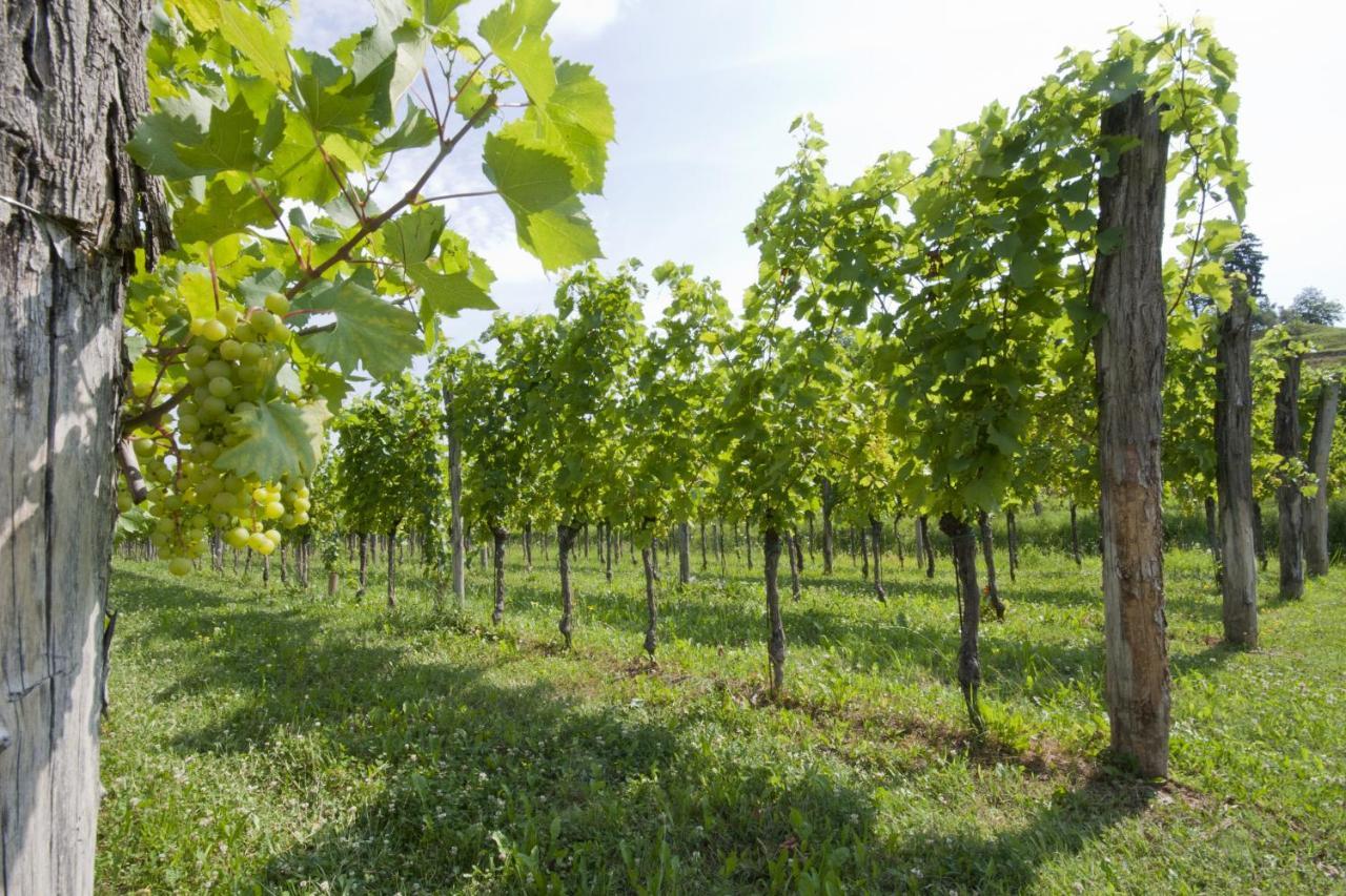 Alloggio Agrituristico Corte San Biagio Corno di Rosazzo Buitenkant foto