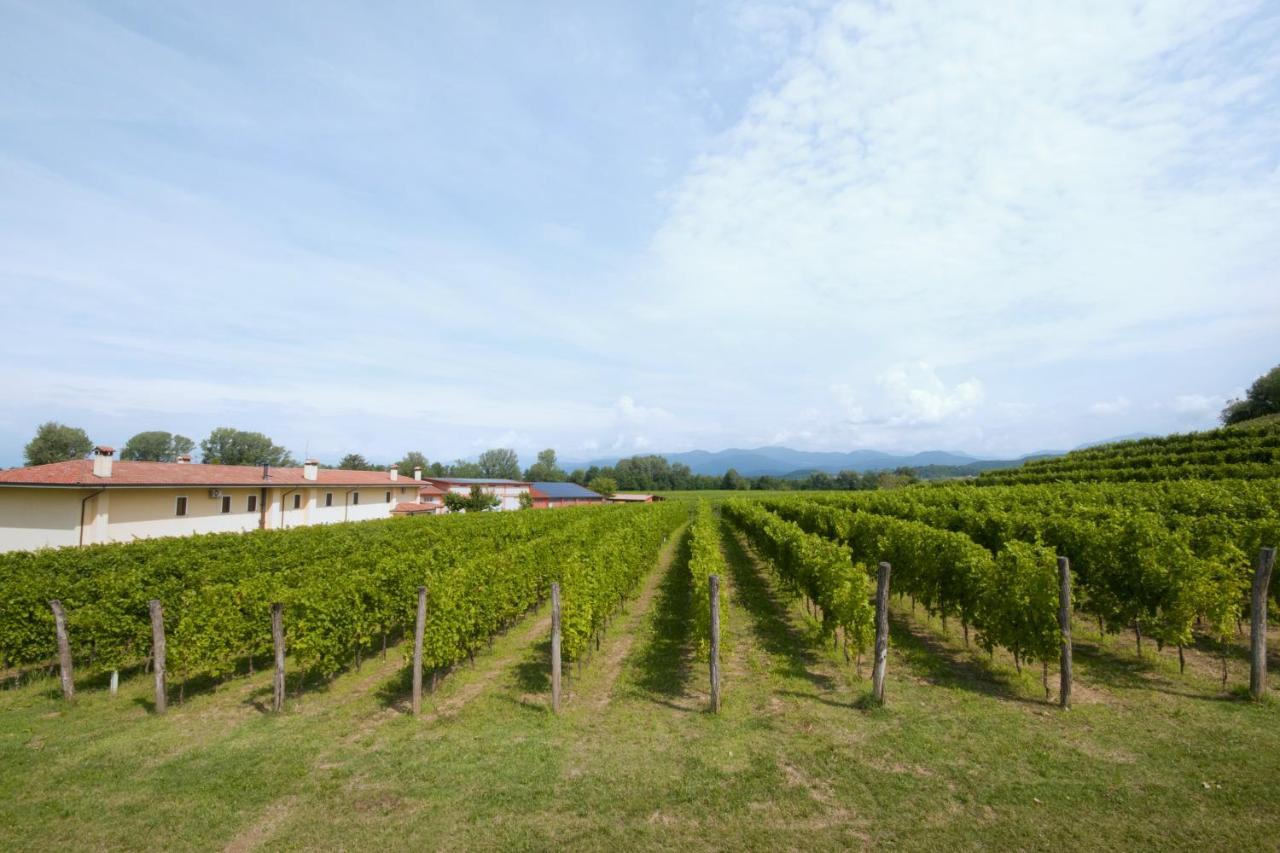 Alloggio Agrituristico Corte San Biagio Corno di Rosazzo Buitenkant foto